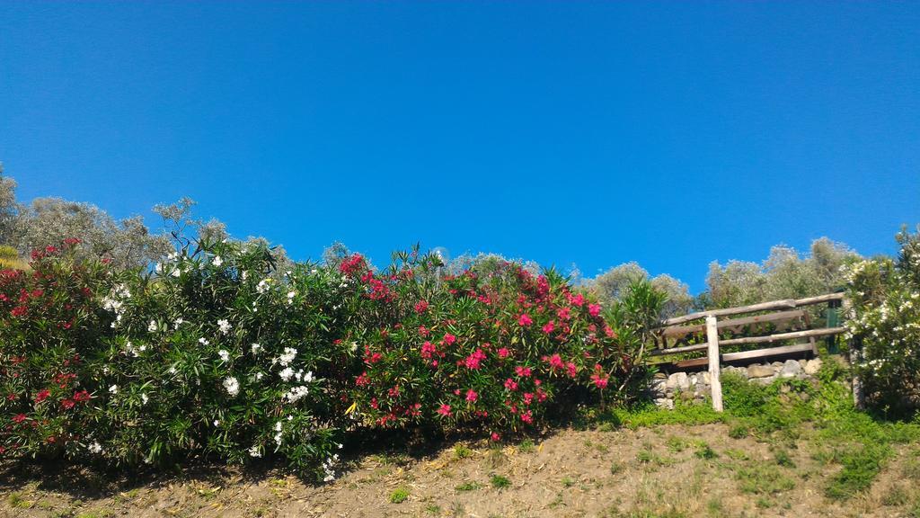 Agriturismo La Quiete Levanto Luaran gambar