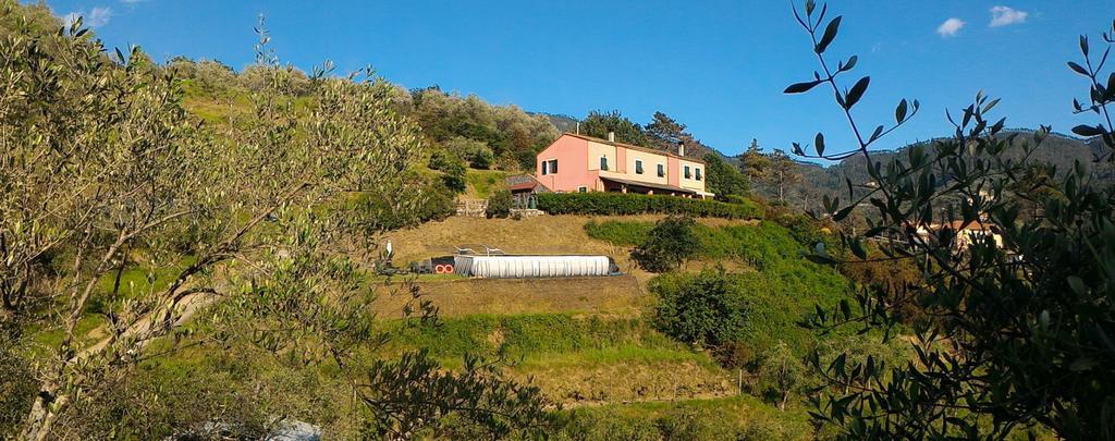 Agriturismo La Quiete Levanto Luaran gambar
